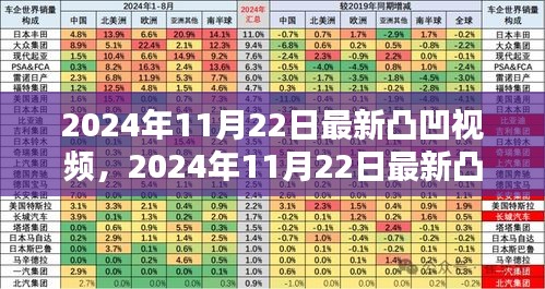 2024年11月22日凸凹视频影响力与观点深度探讨