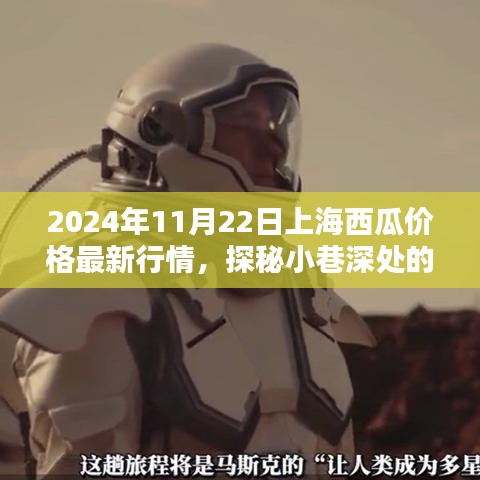 探秘上海小巷深处的西瓜秘境，最新行情揭示