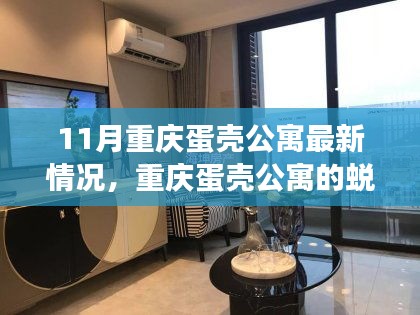重庆蛋壳公寓的蜕变与成长，11月最新情况下的自信与成就感