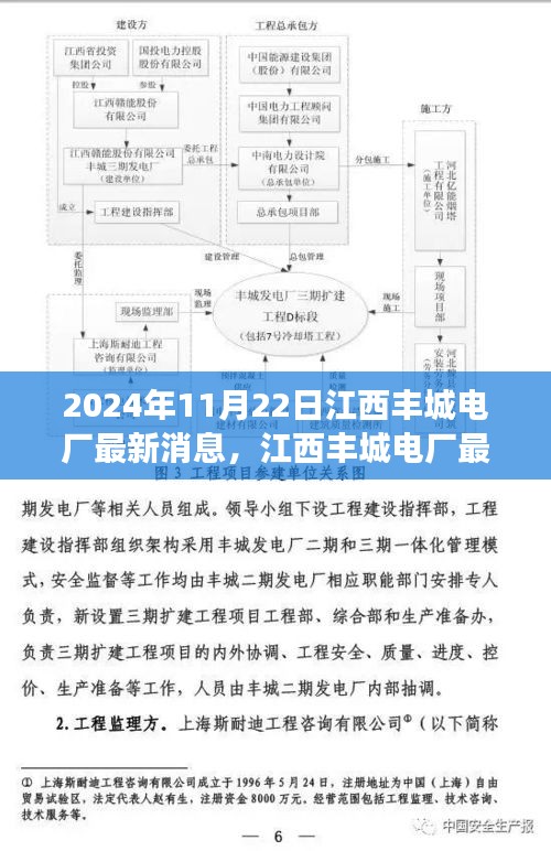 2024年11月22日江西丰城电厂最新动态解析与观点碰撞