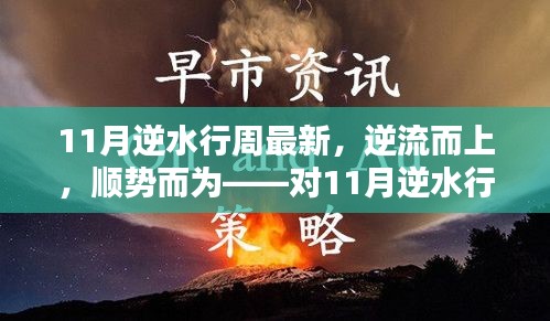 深度解析，逆水行舟，顺势而为——11月最新观点展望