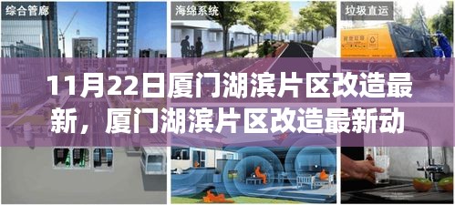 厦门湖滨片区改造最新动态揭秘，11月22日更新聚焦