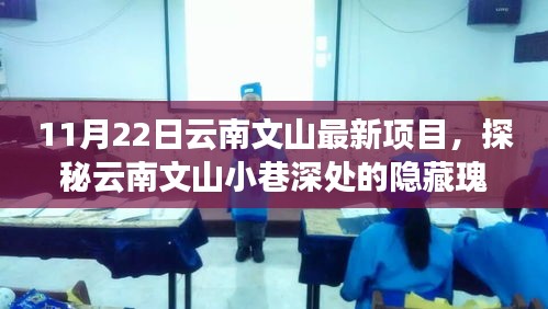 11月22日云南文山最新项目，探秘云南文山小巷深处的隐藏瑰宝，最新项目揭秘