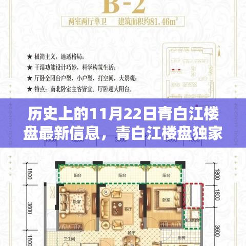 历史上的11月22日青白江楼盘独家揭秘与最新信息大盘点