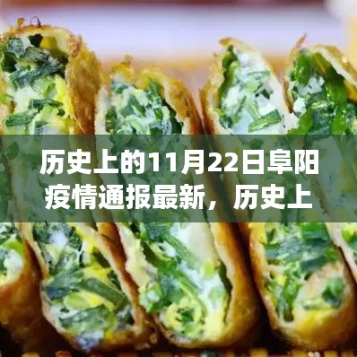 历史上的11月22日阜阳疫情通报最新进展及分析