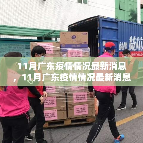 广东疫情最新动态解析与案例分析，深度探讨十一月疫情情况