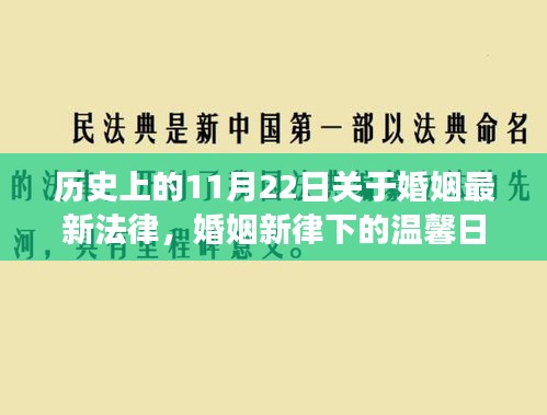 婚姻新律下的奇妙旅程，历史变迁与温馨日常回顾，爱的历史见证日——11月22日