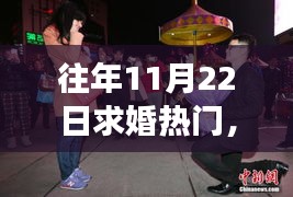 揭秘求婚高峰背后的故事，历年11月22日的浪漫秘密与求婚热潮