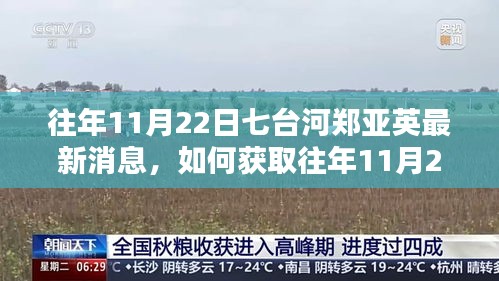 往年11月22日七台河郑亚英最新消息揭秘，获取详细步骤指南
