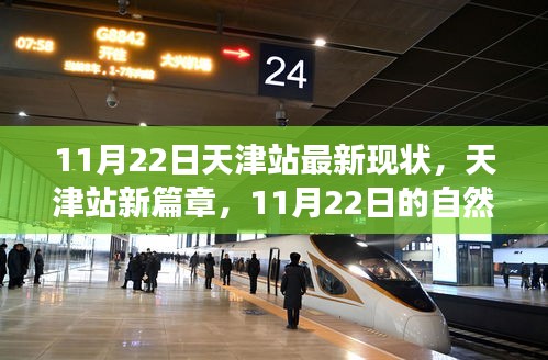 天津站新篇章，探寻自然秘境，启程宁静绿洲之旅（11月22日最新现状）