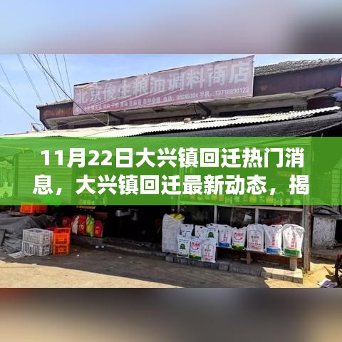 大兴镇回迁最新动态揭秘，11月22日三大热点消息全解析