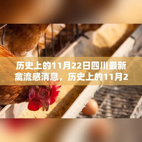 历史上的11月22日四川禽流感最新消息深度解析与科普知识传递