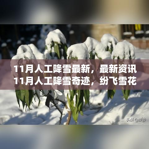 熊经鸟申 第5页