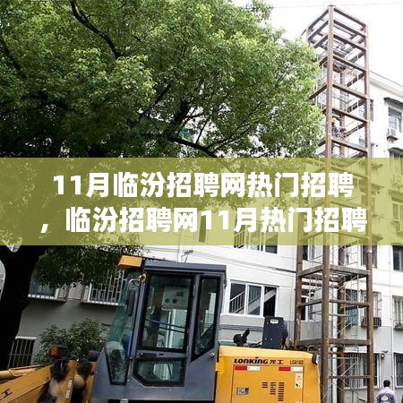 时代的脉搏与人才的交响，临汾招聘网11月热门招聘盛况回顾