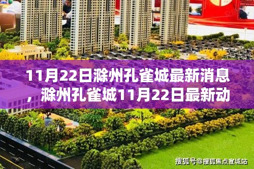 滁州孔雀城最新动态评测，特性、体验与目标用户深度剖析（11月22日更新）