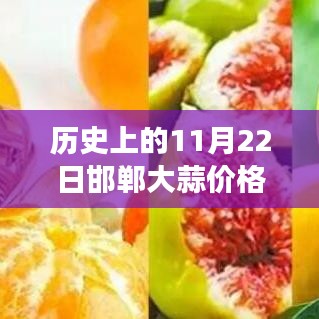 11月22日邯郸大蒜价格背后的温情故事与秋日回忆，友情与陪伴的纪念时刻