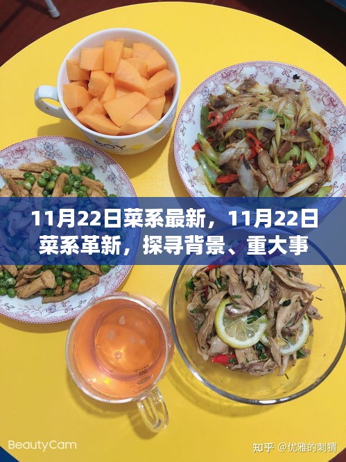 探寻最新菜系革新，背景、重大事件与当代地位的演变之路（11月22日菜系更新）