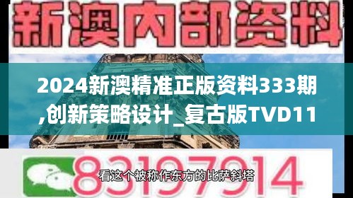 2024新澳精准正版资料333期,创新策略设计_复古版TVD11.11