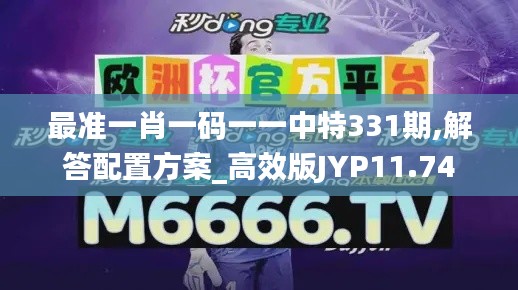 最准一肖一码一一中特331期,解答配置方案_高效版JYP11.74