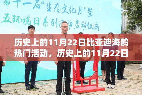 历史上的11月22日，比亚迪海鸥盛大活动的回顾与解析