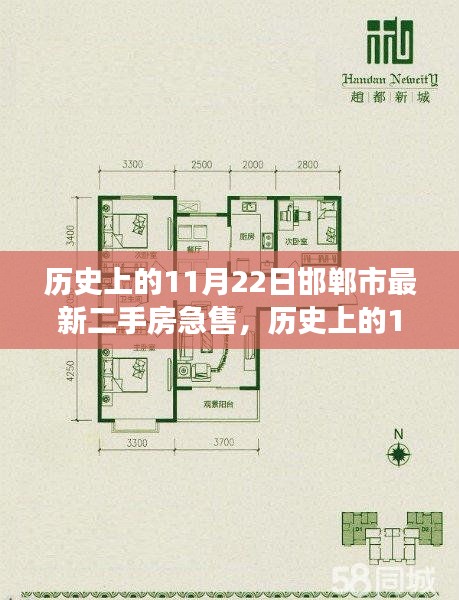 历史上的11月22日邯郸市最新二手房急售，历史上的11月22日邯郸市最新二手房急售现象探析，市场波动与个人决策