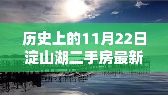 历史上的今天与淀山湖畔二手房动态，最新信息揭秘与独特小店探秘