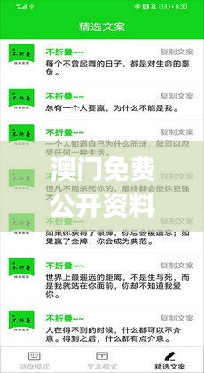 澳门免费公开资料最准的资料333期,快速问题处理_光辉版QON11.40