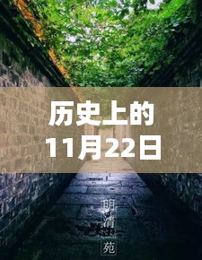 秘境探索，揭秘历史日期下的尊最新作品与小巷深处的特色小店奇缘