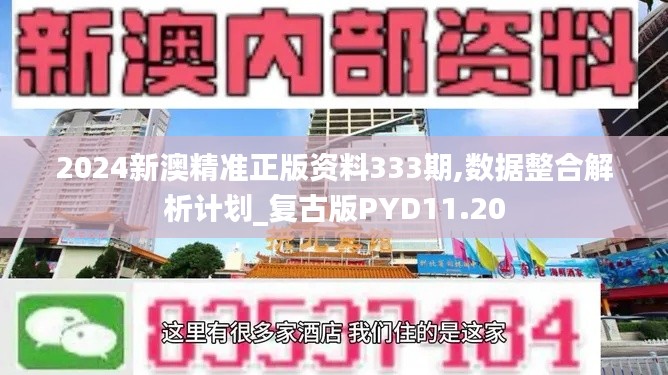 2024新澳精准正版资料333期,数据整合解析计划_复古版PYD11.20