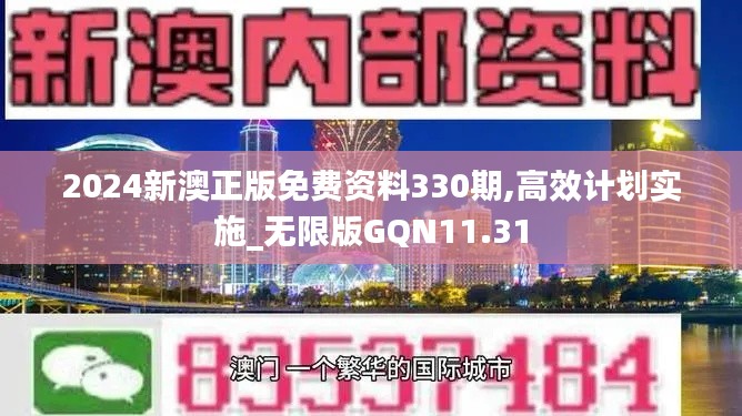 2024新澳正版免费资料330期,高效计划实施_无限版GQN11.31