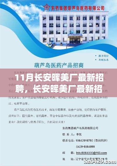 长安晖美厂最新招聘现象解析，机遇与挑战的探究