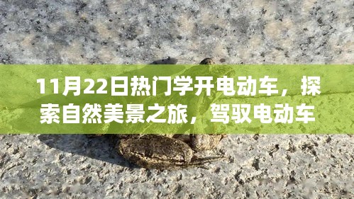 驾驭电动车，探索自然美景的奇妙心灵之旅，热门学开电动车启程！