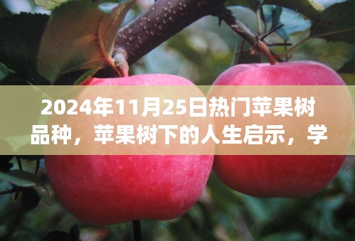 苹果树下的人生启示，学习成长与热门品种引领未来