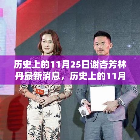 历史上的11月25日，谢杏芳与林丹的最新消息及历程回顾