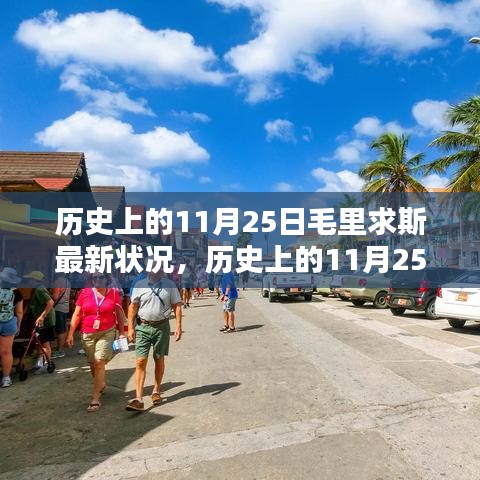 历史上的11月25日毛里求斯最新状况深度解析，探索与了解步骤指南