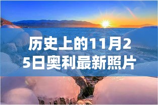 历史上的11月25日奥利最新照片，奥利最新照片，跟随自然美景的足迹，探寻心灵宁静的宝藏