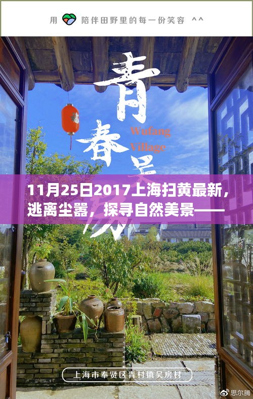上海扫黄行动背后的自然美景探寻之旅