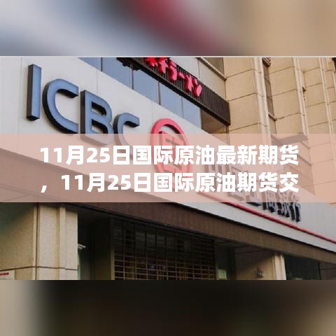 11月25日国际原油期货最新动态与交易入门指南