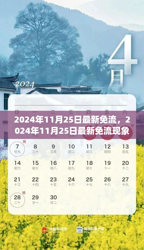 2024年11月25日最新免流现象深度解析，背景、事件与影响全揭秘