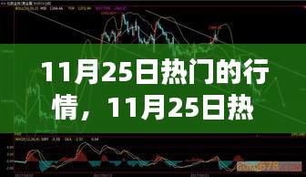 11月25日热门行情深度解析，洞悉市场新动向