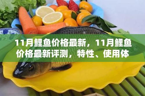 11月鲤鱼价格最新评测，特性、使用体验与竞品对比全解析