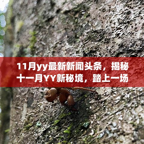 揭秘十一月YY新秘境，踏上一场自然美景之旅，探寻内心的桃花源