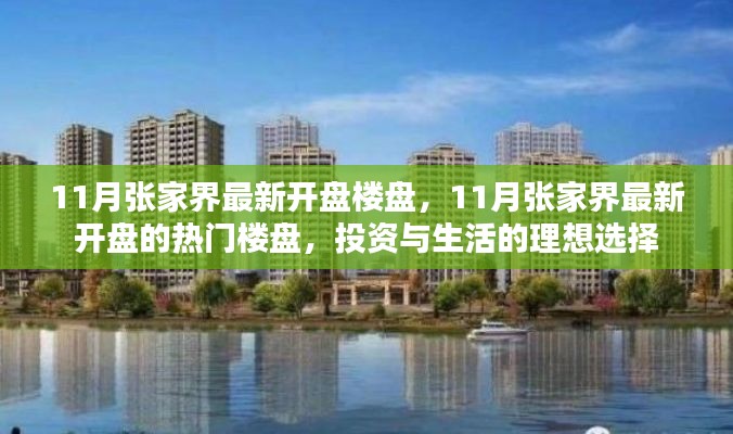 11月张家界最新开盘热门楼盘，理想投资与生活之选