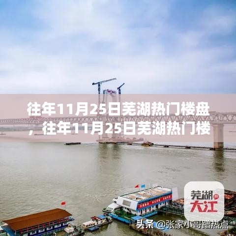 揭秘往年11月25日芜湖热门楼盘，置业热点探秘之旅