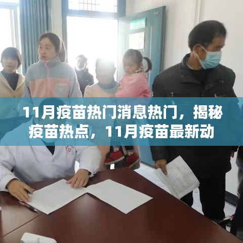 揭秘疫苗热点，11月疫苗最新动态与热议焦点热门消息速递