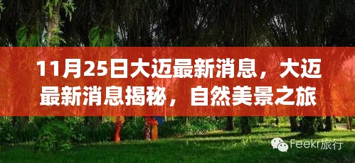 大迈最新动态揭秘，自然美景之旅，探寻内心的宁静与平和