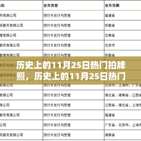 历史上的11月25日热门拍牌照，全面评测与介绍