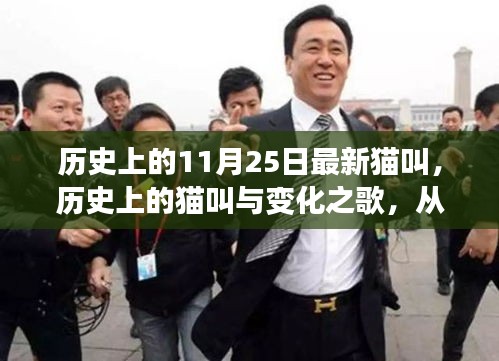 历史上的11月25日最新猫叫，历史上的猫叫与变化之歌，从猫步轻跳到自信的跃升
