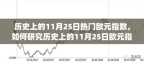 如何研究历史上11月25日欧元指数变动，初学者至进阶用户的指南