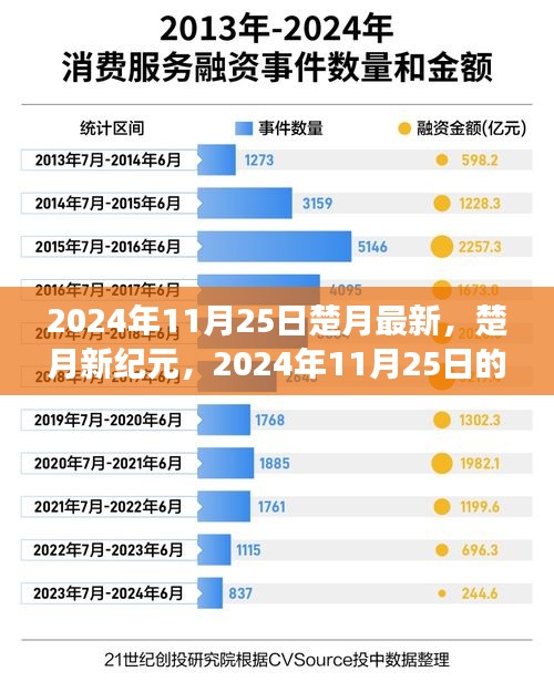 楚月观点洞察，新纪元下的未来展望（2024年11月25日）